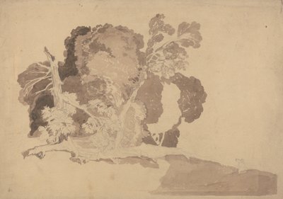 Studie av träd av John Sell Cotman