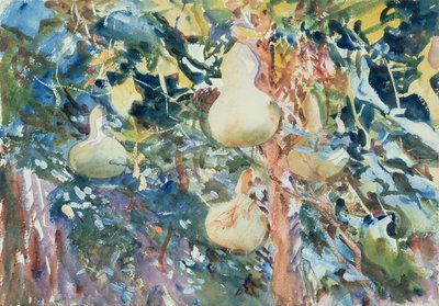 Kalebasser, ca 1905 (wc på papper) av John Singer Sargent