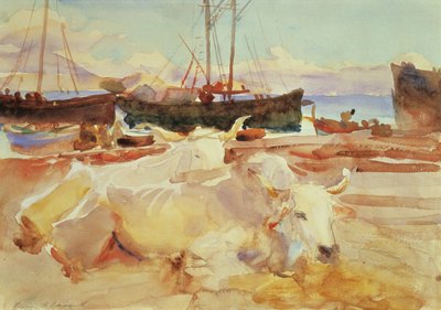 Oxar på stranden i Baia, ca 1908 (wc på papper) av John Singer Sargent