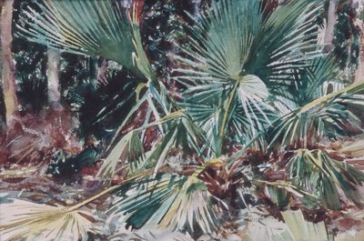 Palmettos, 1917 (wc, grafit och vaxkrita på vitt vävt papper) av John Singer Sargent