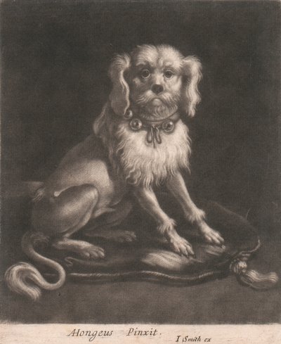 En liten hund som bär ett halsband. av John Smith
