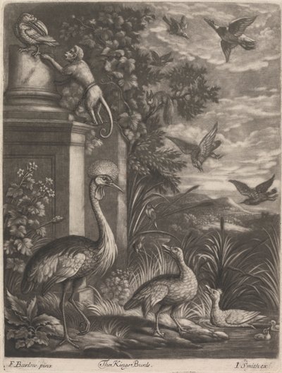 Kings Birds av John Smith