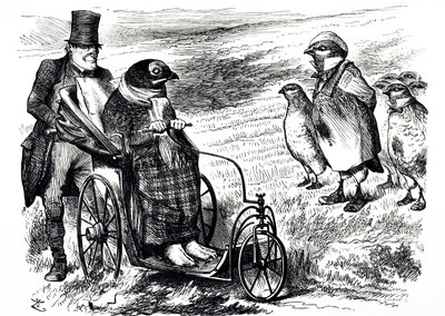 En tecknad serie som kommenterar avstängningen av Grouse Shooting för att låta beståndet byggas upp igen. Illustrerad av John Tenniel (1820-1914), en engelsk illustratör, grafisk humorist och politisk serietecknare av John Tenniel