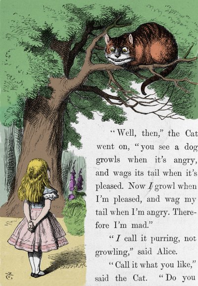 Alice and the Cat, illustration av Sir John Tenniel för den första upplagan av Alice i Underlandet av den engelske författaren Lewis Carroll (Charles Lutwidge Dodgson) (1832-1898). av John Tenniel