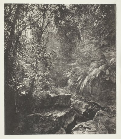 Ett bergspass i Formosa av John Thomson