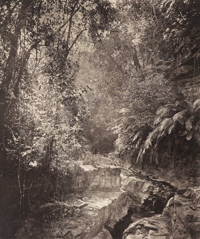 Ett bergspass på ön Formosa av John Thomson