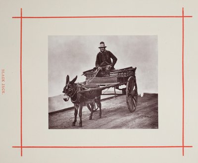 Black Jack, 1877. av John Thomson