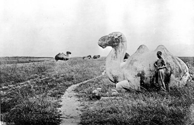 Kina, snidade kameler från Imperial Way, ca 1870 (foto) av John Thomson