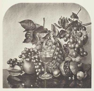 Frukt av John Thomson