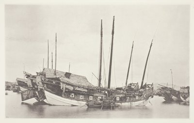 Gamla skrotbilar av John Thomson