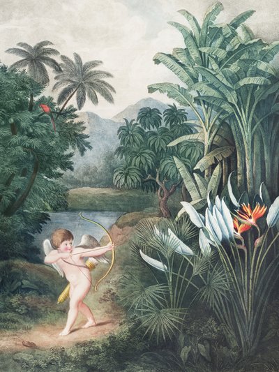 Cupido inspirerar växter med kärlek från Floras tempel (1807) av Robert John Thornton av John Thornton