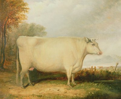 Porträtt av en prisko av John Vine