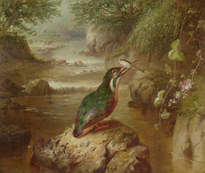 Kungsfiskarens tillhåll av John Wainwright