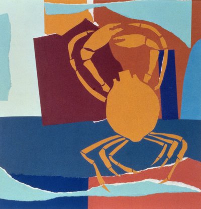 Spindelkrabba av John Wallington