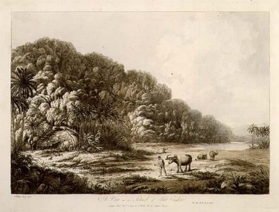 En vy på ön Pulo Condor, från "Views in the South Seas", pub. 1792 (etsning) av John Webber