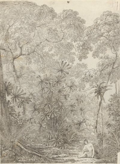 Fläktpalmen i Krakatoa av John Webber
