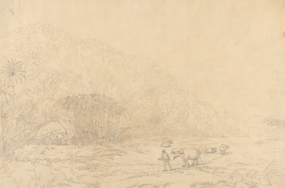 Utsikt på ön Pulo Condore av John Webber