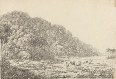 Utsikt på ön Pulo Condore av John Webber