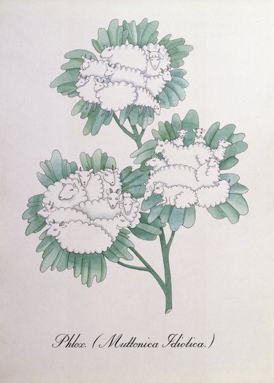 Flox. (Muttonica Idiotica), illustration från "The Bogus Book of Botany" av John Weir av John Weir