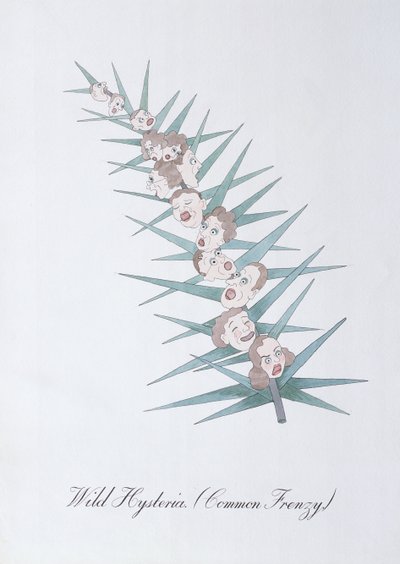 Wild Hysteria (Common Frenzy.), illustration från "The Bogus Book of Botany" av John Weir av John Weir