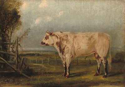 swedish av John Woodhouse Audubon