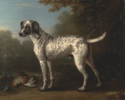 En gråfläckig hund av John Wootton