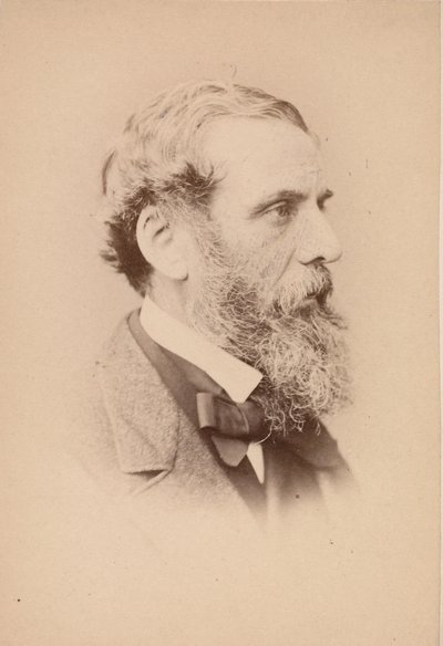 Richard Ansdell, 1860-talet. av John and Charles Watkins