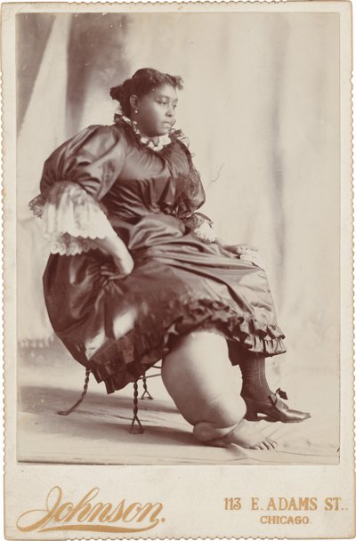 Porträtt av en kvinna,ca. 1890 (foto) av Johnson