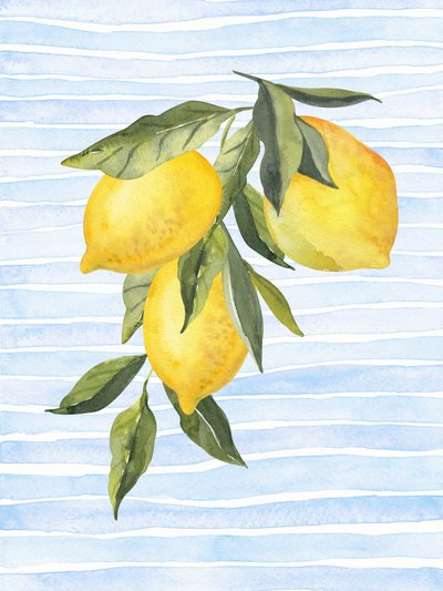 Soliga citrusfrukter på blå bakgrund av Jolly and Dash