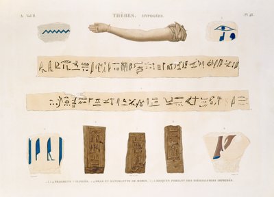 Illustrationer av hieroglyfer och en mumies arm från Hypogees, Thebe, plåt 48 från Vol II av `Descriptions of Egypt`, graverad av Charles, 1822 (akvatint) av Jomard