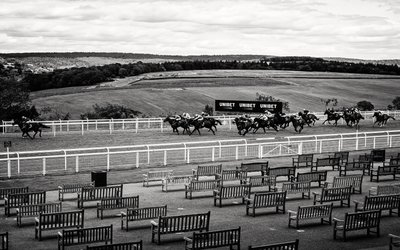 The Goodwood Estate i West Sussex, Storbritannien, 2020 (foto) av Jon Nicholson
