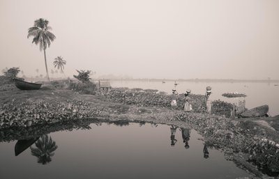Fiske i våtmark i Kolkata, 2016 (foto) av Jon Nicholson