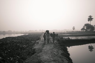 Fiske i våtmark i Kolkata, 2016 (foto) av Jon Nicholson
