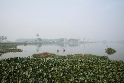 Fiske i våtmark i Kolkata, 2016 (foto) av Jon Nicholson