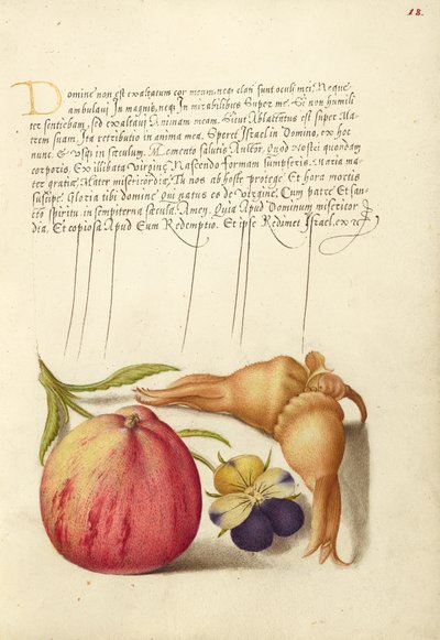 Vanligt äpple, europeisk vild pensé och jättefilbert av Joris Hoefnagel