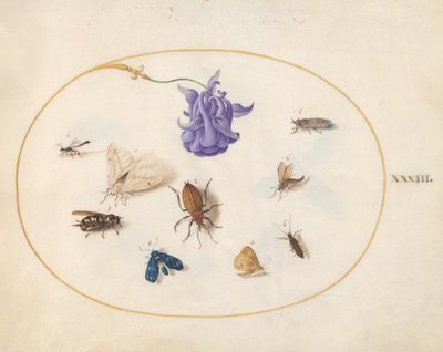 Insekter, ca 1575-80 av Joris Hoefnagel