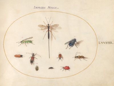 Skylt 78: Tio insekter, inklusive en blå fluga av Joris Hoefnagel