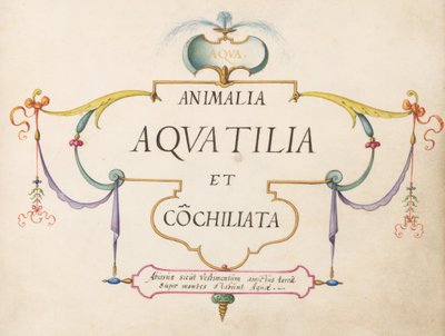 Titelsida av Joris Hoefnagel