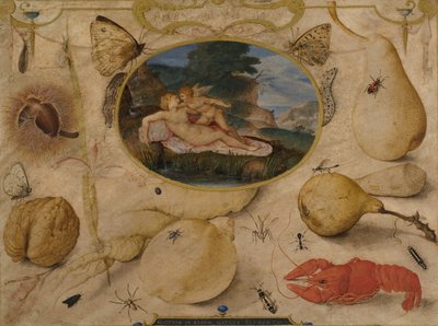 Venus avväpnar Amor i en medaljong omgiven av växter, frukter, insekter och skaldjur, ca. 1595 (wc och kroppsfärg) av Joris Hoefnagel