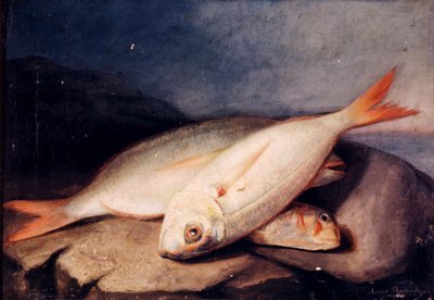 Spanska: Bodegón de peces av José Arias Ramírez