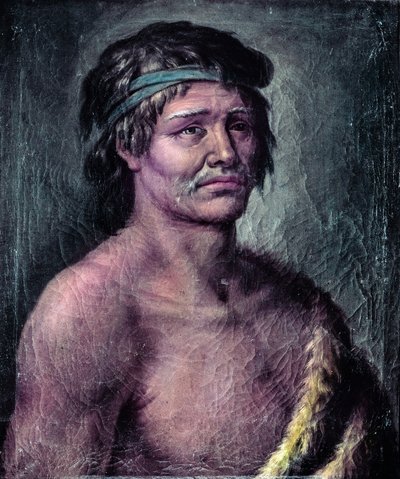 Porträtt av en indier från Patagonien, teckning gjord under Alessandro Malaspinas expedition i Sydamerika, ca. 1791 (ritning) av José del Pozo