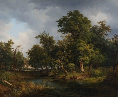 skogslandskap av Josef Feid