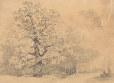 Trädstudie av Josef Kriehuber