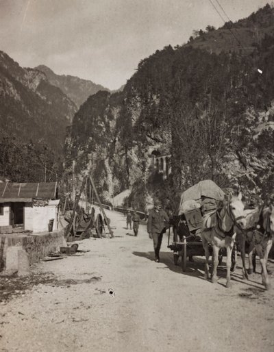 Album "Mitt världskrig - minnen av sydvästra fronten i Kärnten, Italien, Trentino-Alto Adige) 31/03/1915-12/11/ 1918 - Josef Zohles Wien ": militärvagn (s/v foto) av Josef Zohles
