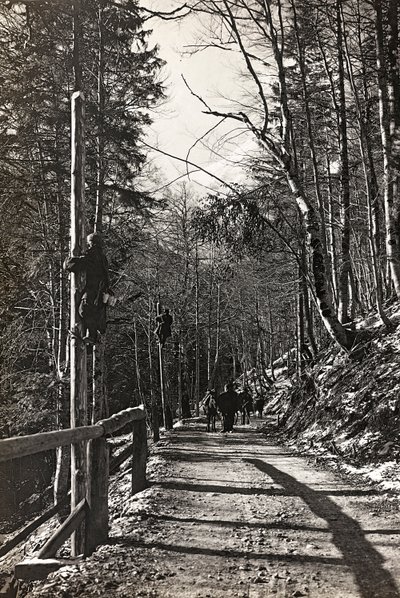 Album "Mitt världskrig - minnen från sydvästra fronten i Kärnten, Italien, Trentino-Alto Adige) 31/03/1915-12/11/ 1918 - Josef Zohles Wien ": soldater på jobbet (s/v foto av Josef Zohles