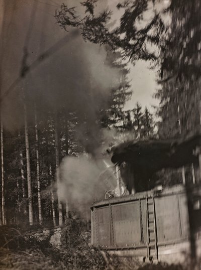Album "Mitt världskrig - minnen av sydvästra fronten i Kärnten, Italien, Trentino-Alto Adige) 31/03/1915-12/11/ 1918 - Josef Zohles Vienna ": en mortel Morser i aktion ( av Josef Zohles