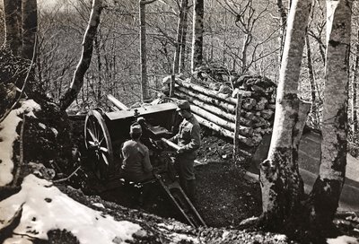 Album "Mitt världskrig - minnen av sydvästra fronten i Kärnten, Italien, Trentino-Alto Adige) 31/03/1915-12/11/1918 - Josef Zohles Vienna ": Soldater med kanon (s/v p av Josef Zohles