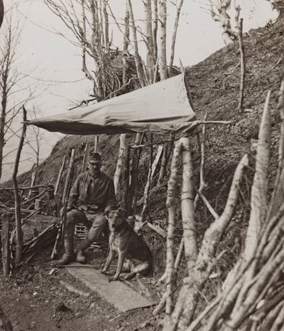 Album "Mitt världskrig - minnen från sydvästra fronten i Kärnten, Italien, Trentino-Alto Adige) 31/03/1915-12/11/ 1918 - Josef Zohles Vienna ": militärhund under ett tält ( av Josef Zohles