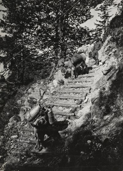 Album "Mitt världskrig - minnen av sydvästra fronten i Kärnten, Italien, Trentino-Alto Adige) 31/03/1915-12/11/1918 - Josef Zohles Wien ": Armémulor längs en brant av av Josef Zohles
