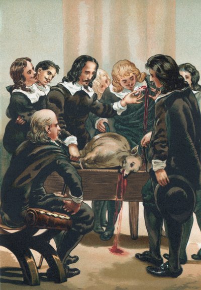 William Harvey demonstrerar blodets cirkulation av Josep or Jose Planella Coromina